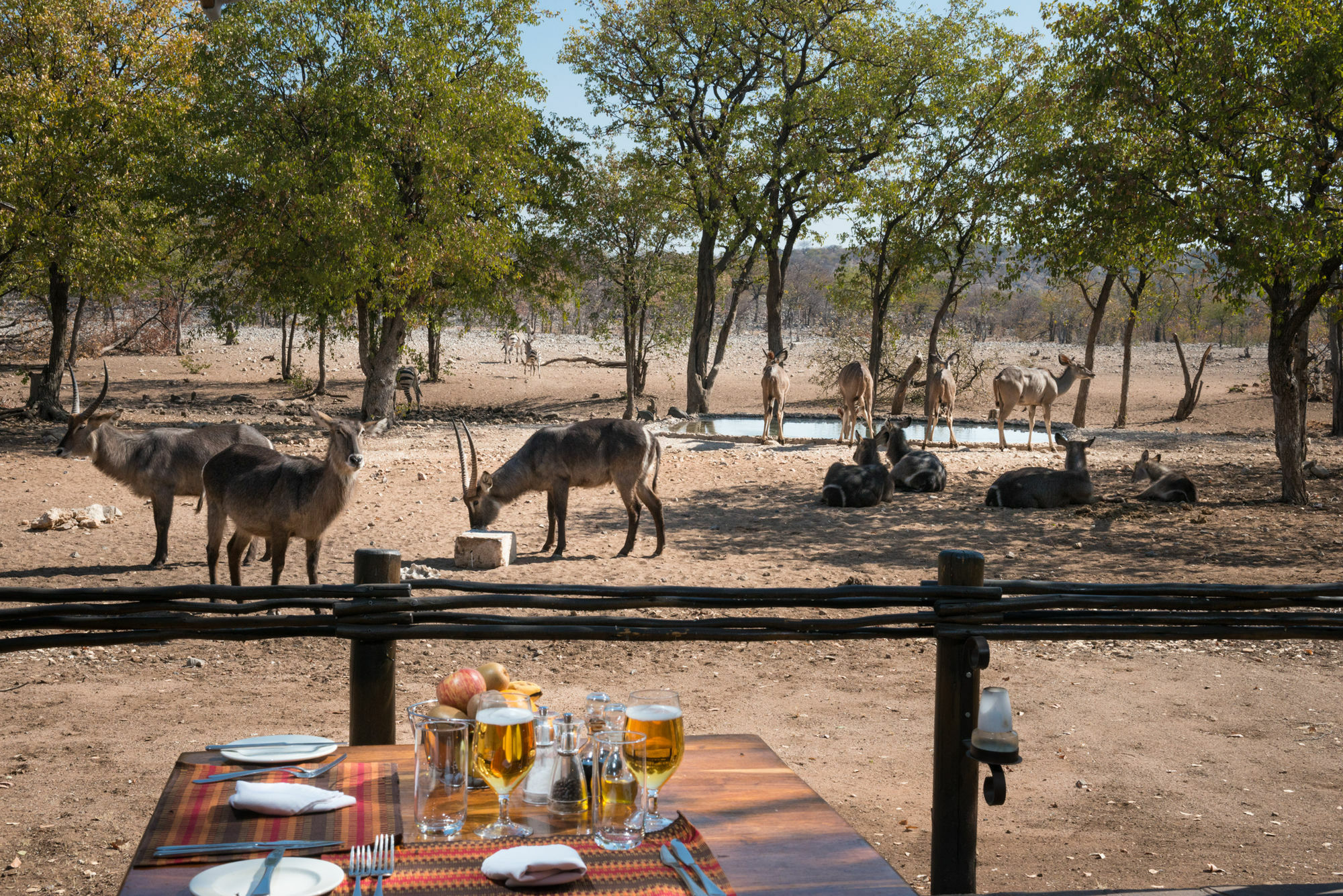 Ongava Tented Camp - All-Inclusive Okaukuejo Ngoại thất bức ảnh